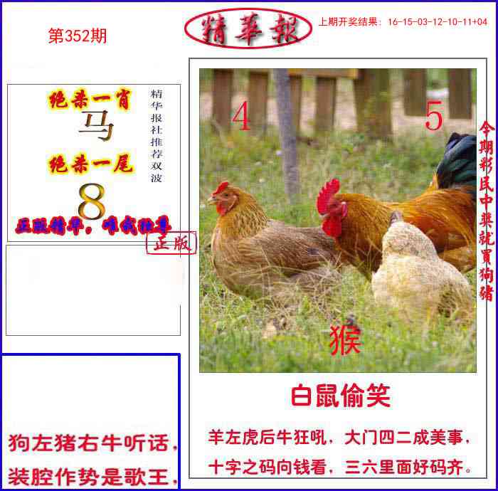 352期新精华报报[图]